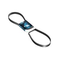 DAYCO-AUTO-POLYRIB-BELT-35.6X1350MM-(10PK1350DAY)